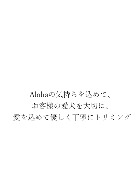 Alohaの気持ちを込めて、お客様の愛犬を大切に、愛を込めて優しく丁寧にトリミング